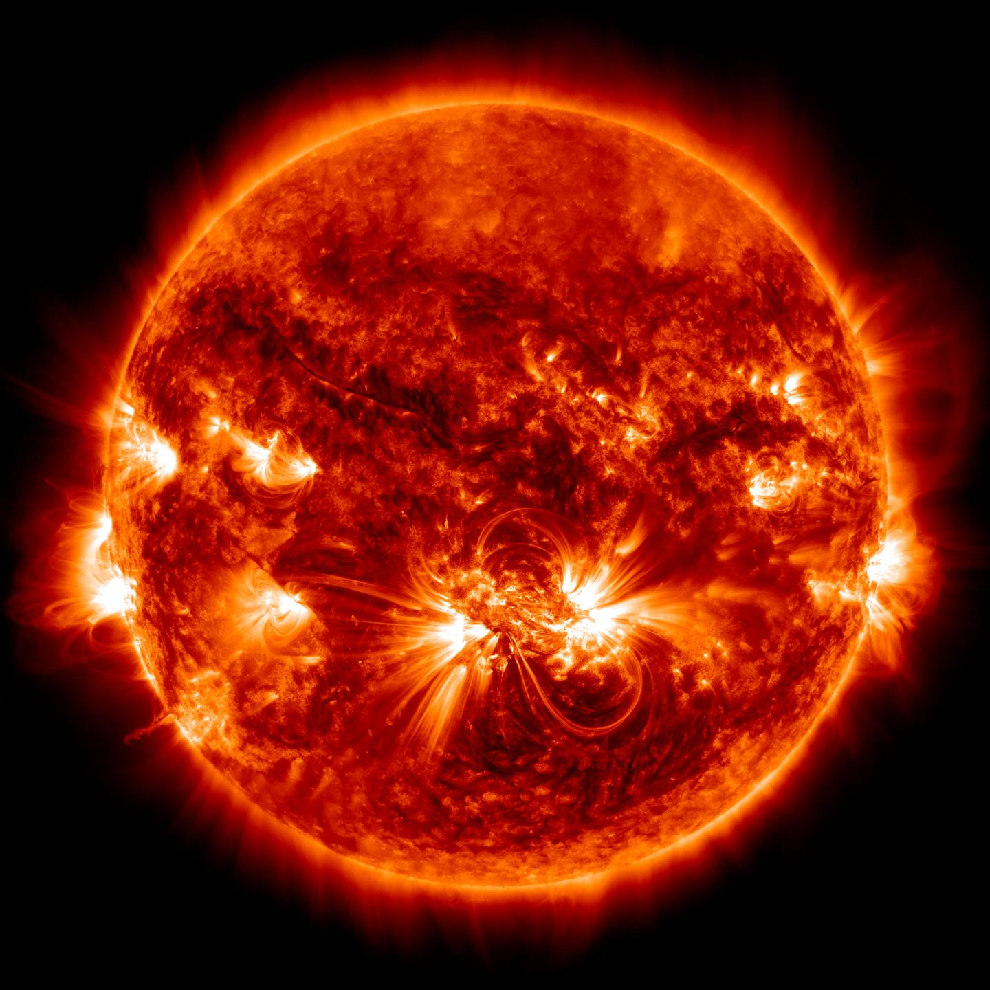 Active Region of the Solar Cycle 