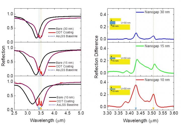 Results of infrared spectroscopic analysis
