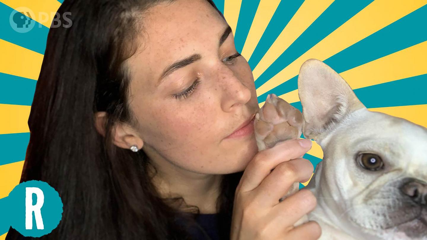 Why do my dog's paws smell like Fritos? (vide EurekAlert!