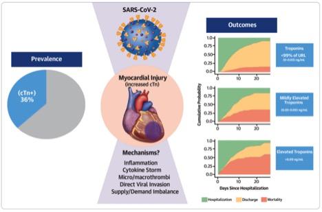 Myocardial Injury Reflected by Troponin Concentrations