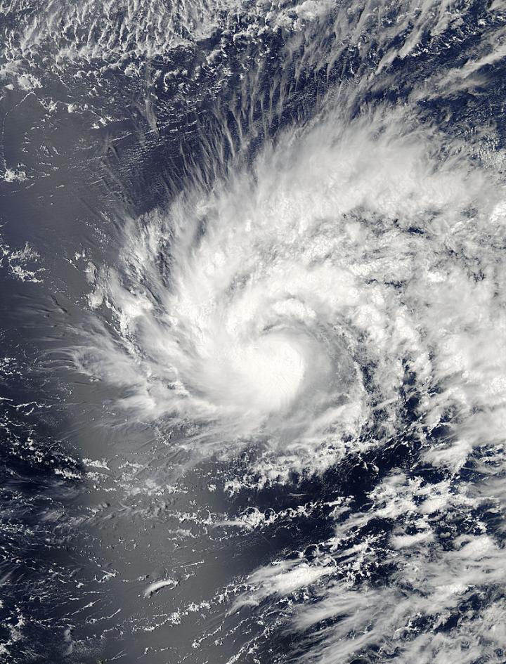 MODIS Image of Maysak