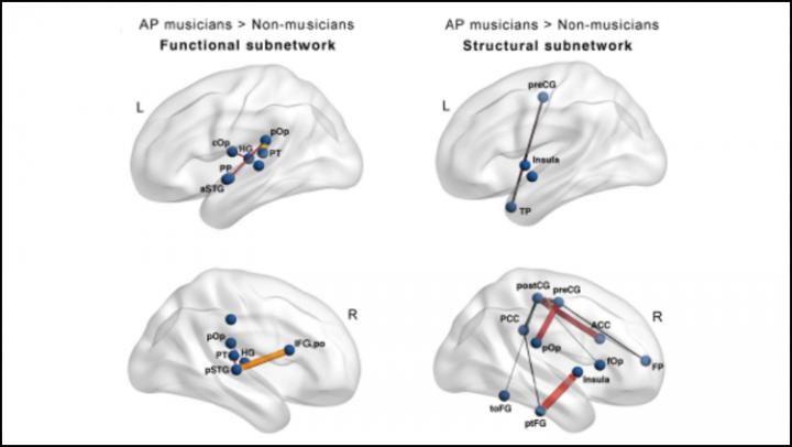 Musicians Have More Connected Brains Than Non-Musicians