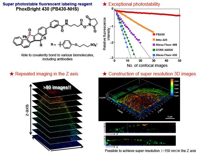 Properties of the Photostable Dye, PB430