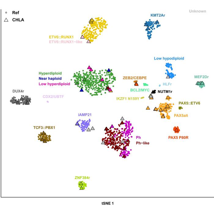 Gene expression profile distribution and B-acute lymphoblastic leukemia (B-ALL) subtypes of the study cohort