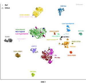 Gene expression profile distribution and B-acute lymphoblastic leukemia (B-ALL) subtypes of the study cohort