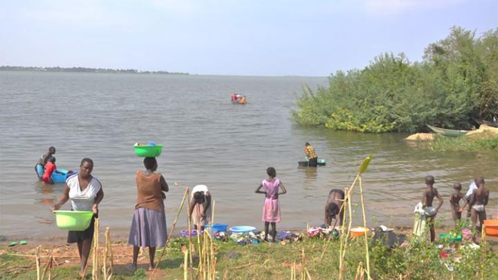 Parasite Transmission