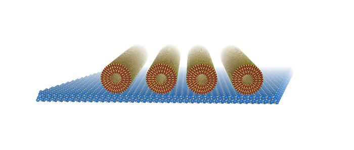 First synthesis of arrayed tungsten disulfide nanotubes.