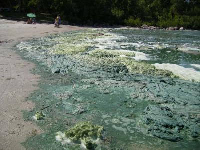 Grand Beach on Lake Winnipeg undergoing eutrophication