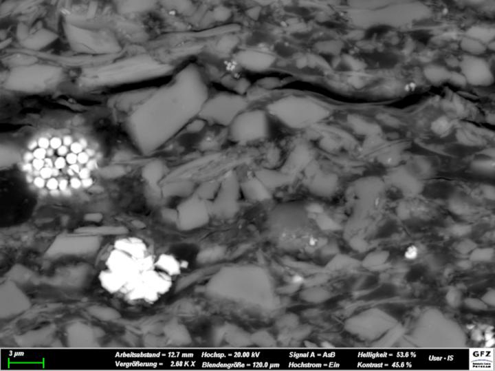 Alum Shale Scanning Electron Micrograph