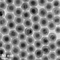 Onion-like Nanoparticle: TEM