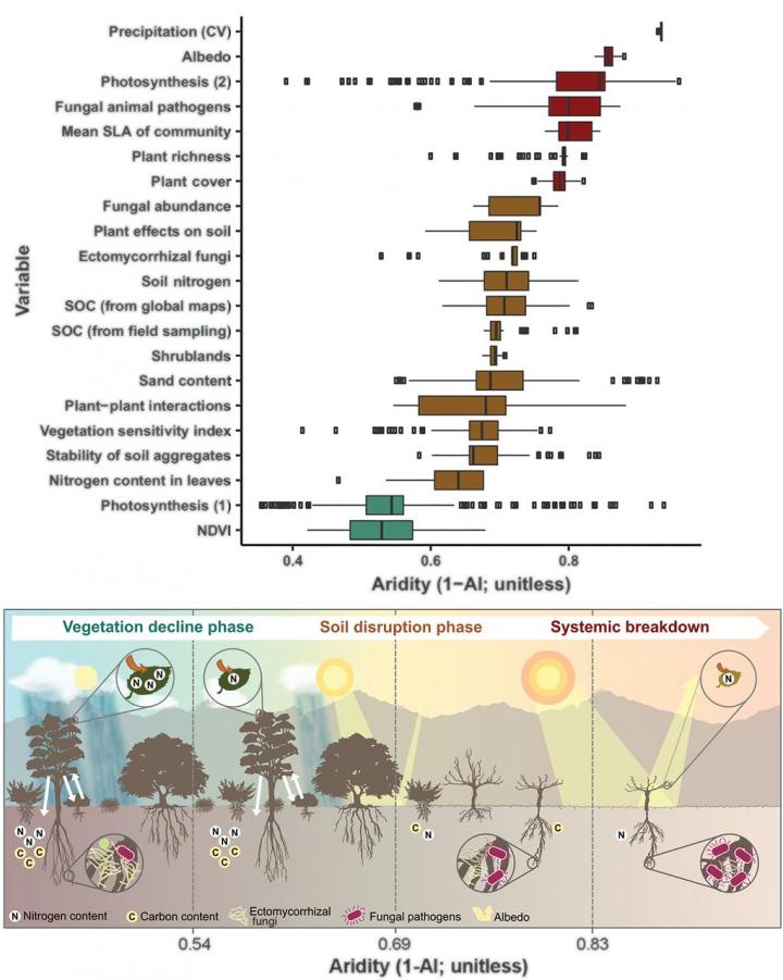 Effects of Aridity on Drylands