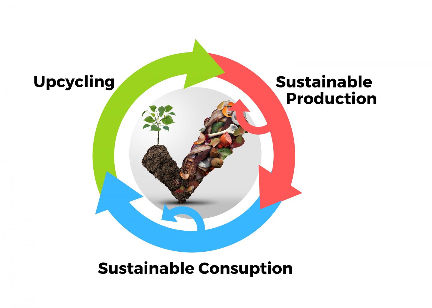 Sustainable food system graphic