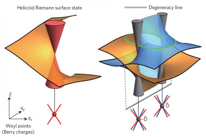 Topological Semimetals