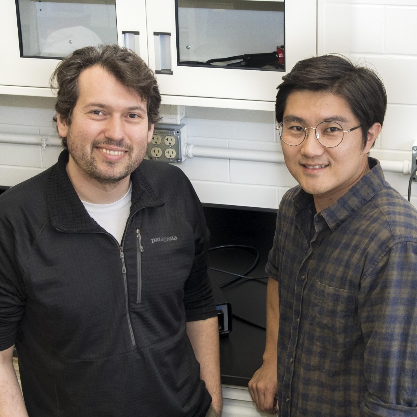 Arend van der Zande and Jangyup Son, University of Illinois College of Engineering