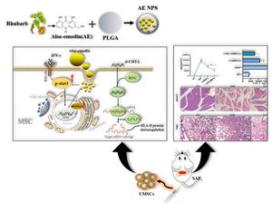 The following schematic diagram illustrates the primary design concepts and the mechanism of action of the carrier in the study.