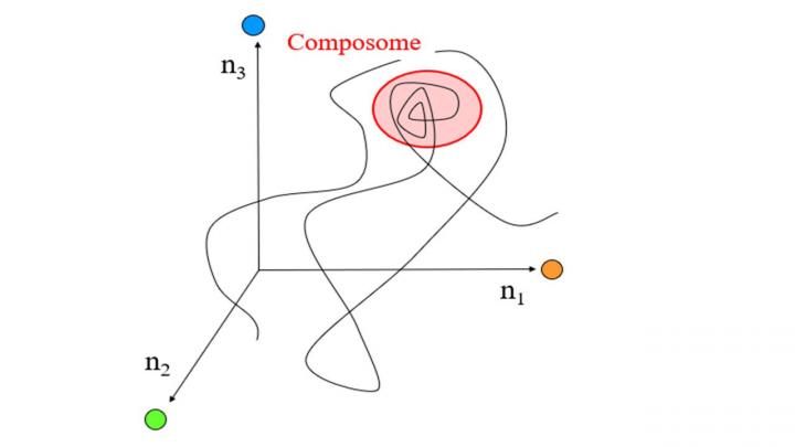 A 'Walk' in Composition Space for a Lipid World Molecular Assembly