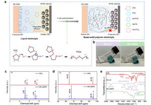 Structural Innovations and Properties of DS-QSPE in Enhancing Na-S Battery Interfaces.