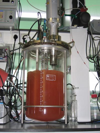 Bioreactor