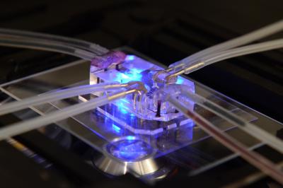 The Wyss Institute's Lung-on-a-Chip