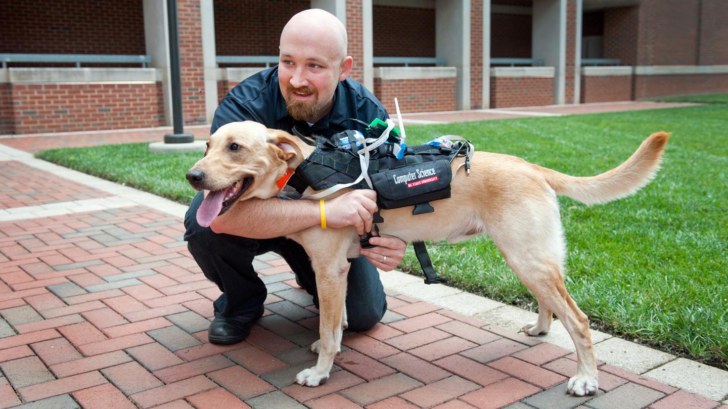 High-Tech Harness Improves Communication between Dogs and Humans
