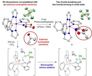 Figure 4. Crystallographic monitoring of rhodium-acylnitrenoid transfer