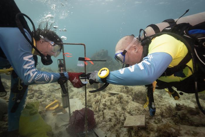 Installation of underwater speaker system