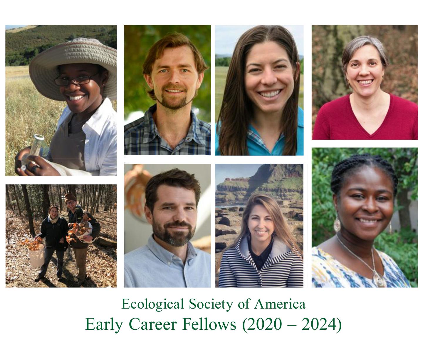 Early Career Fellows (2020 - 2024)