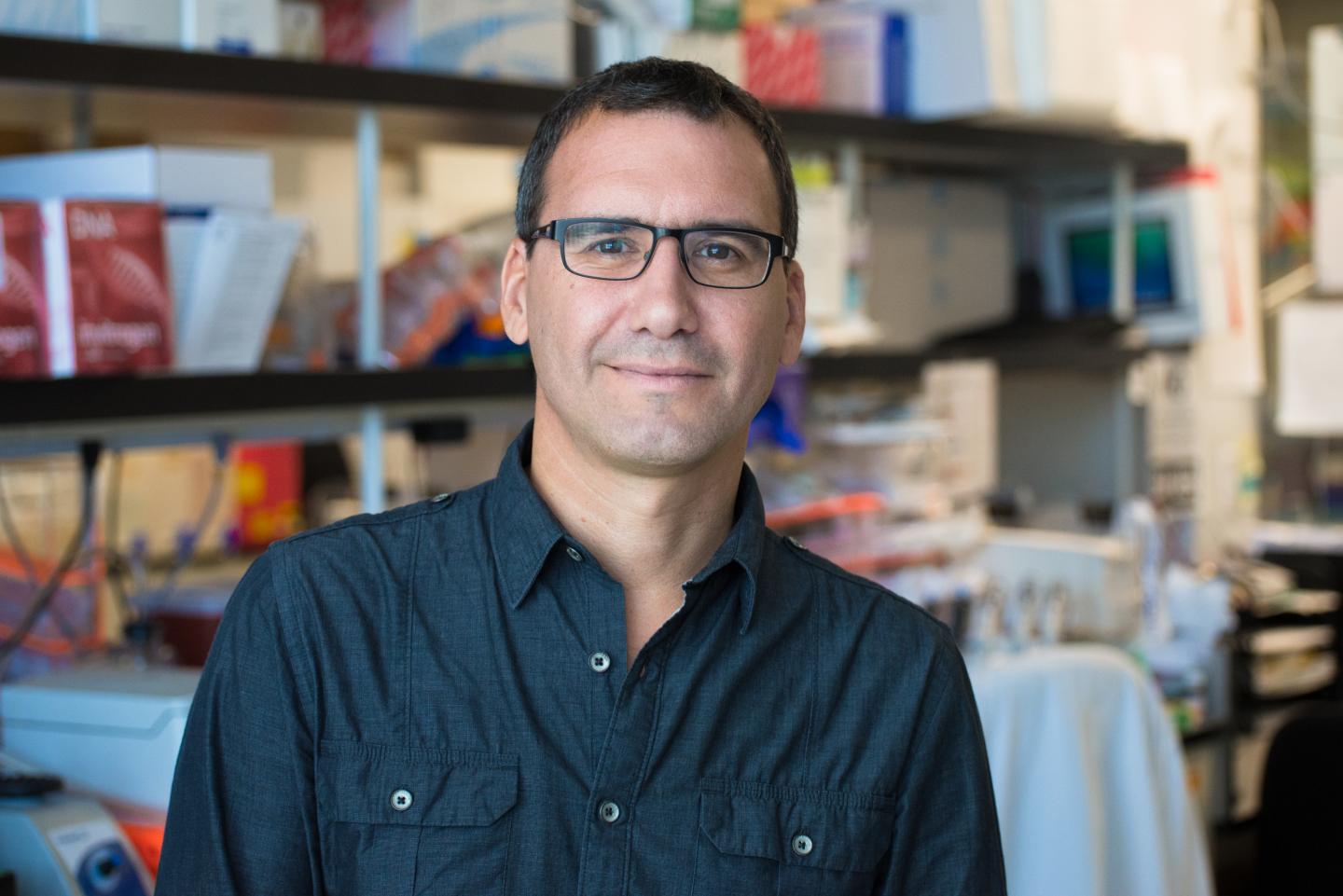 Maximiliano D'Angelo, Sanford-Burnham Prebys Medical Discovery Institute 