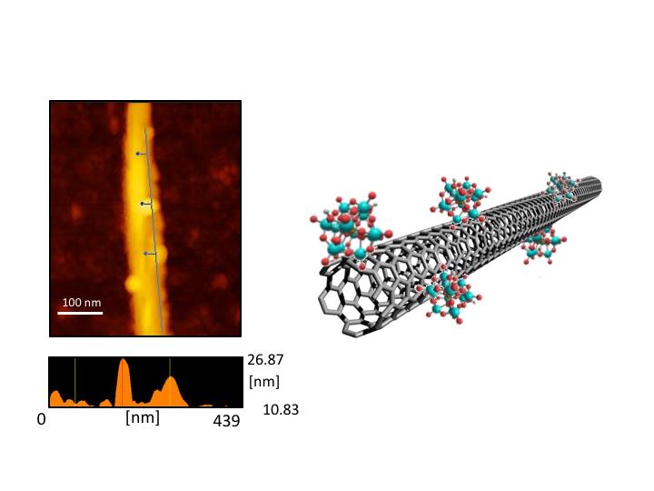 Functionalizing SWNTs with Phosphomolybdic Acid