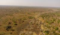 The Heavily Deforested Dzalanyama Forest Reserve near Dedza, Malawi (2 of 2)