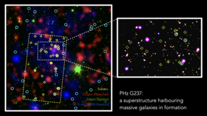 G237 protocluster