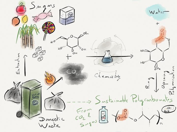 Diagram of How Sugar and Carbon Dioxide is Converted to Plastic