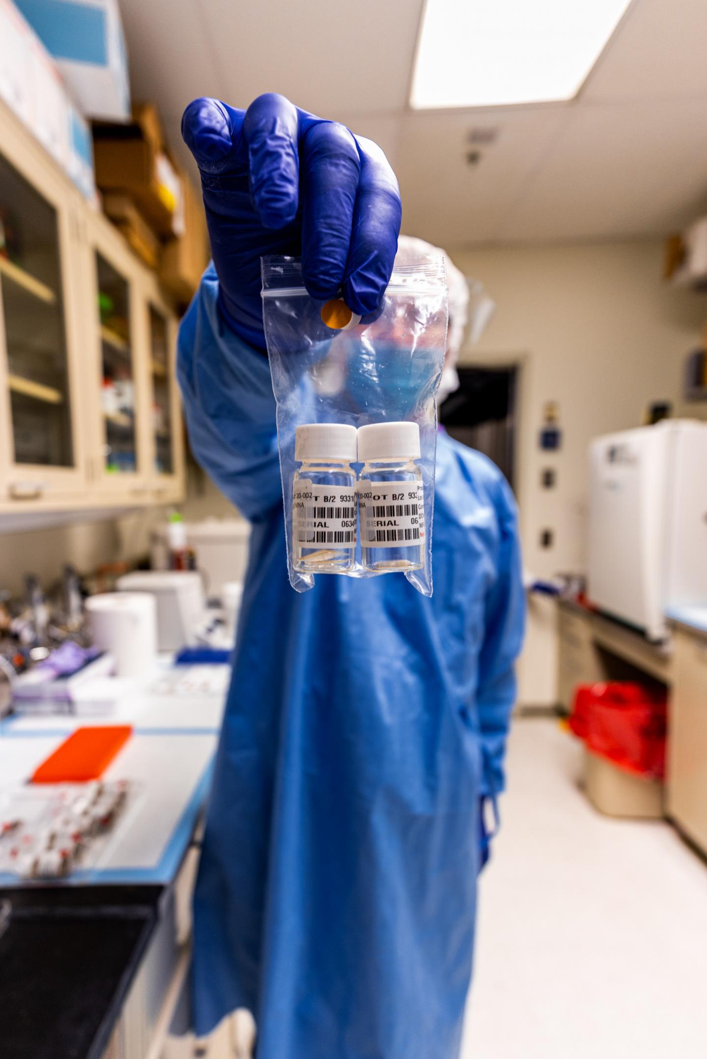 Looking Ahead to Human Trials