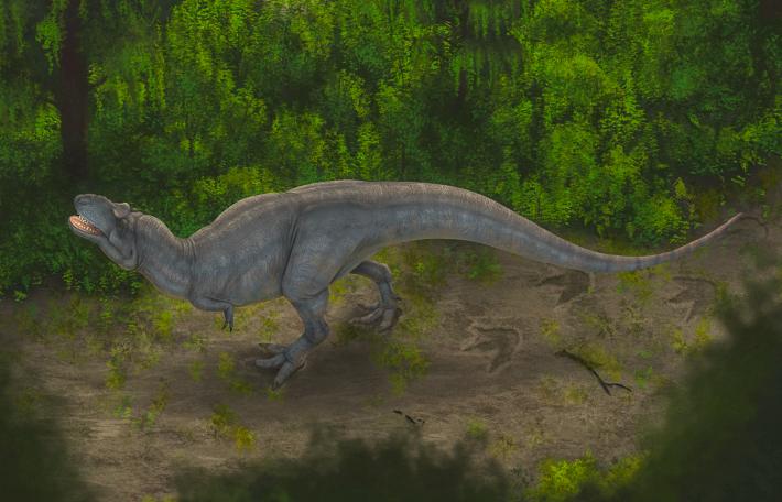 Artistic reconstruction of a tyrannosaur creating footprints