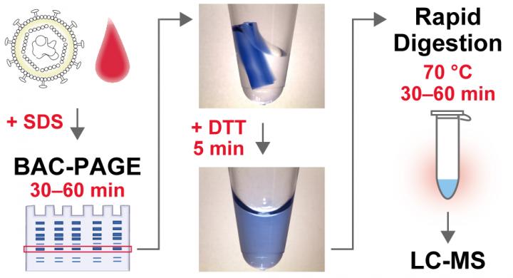 High-throughput sample preparation for mass spectrometry-based protein analysis using BAC-DROP