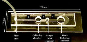 Microfluidic Chip for Sperm Selection