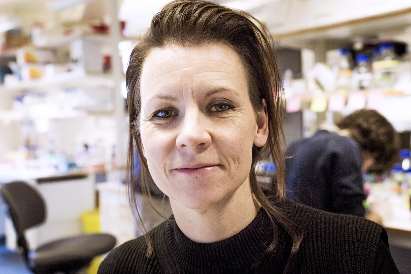 Marie Carl&eacute;n, Karolinska Institutet