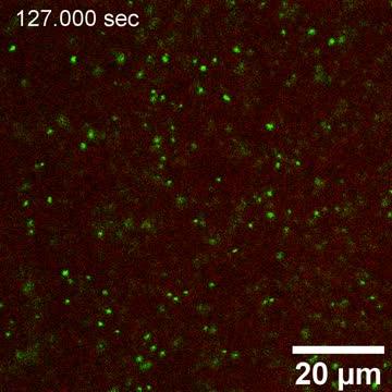 Nanoparticles