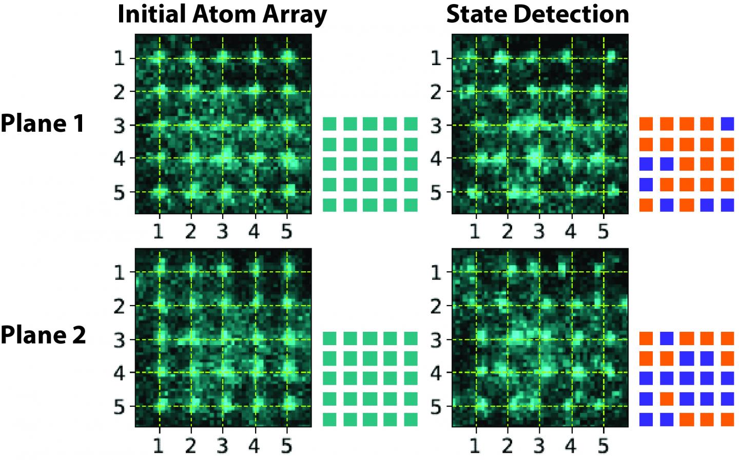5X5 Qubit Arrays Sorted And State Detected
