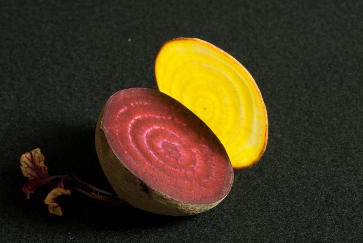Red and Yellow Beets