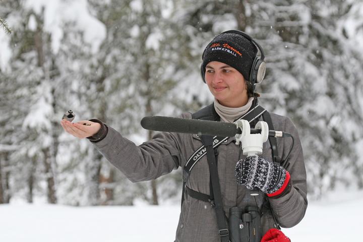 Holding and Recording a Chickadee