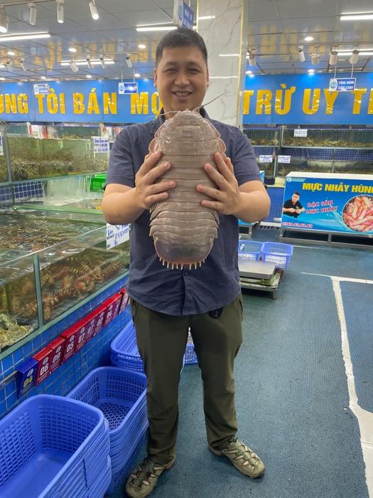 Dr. Nguyen Thanh Son holding a giant isopod