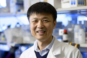 Sloan Kettering Institute immunologist Ming Li