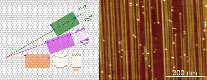 Structure of Carbon Nanotube (CNT).
