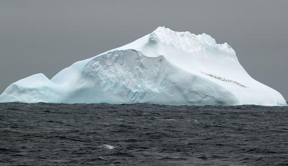 Icebergs on the move