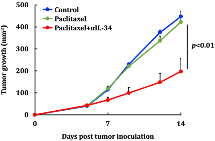 Suppresionof IL-34 drastically reduces tumor chemoresistance