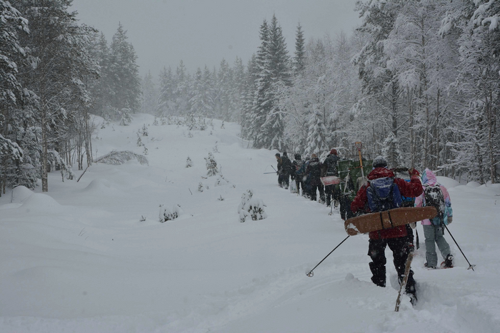 Researchers hike through snowy woodland with their equipment