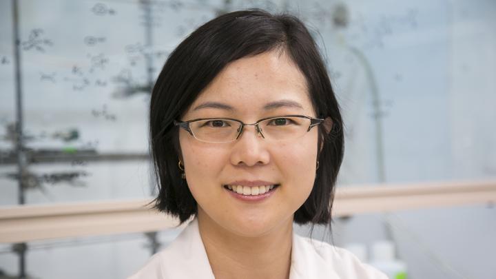 Dr. Lina Cui, University of New Mexico