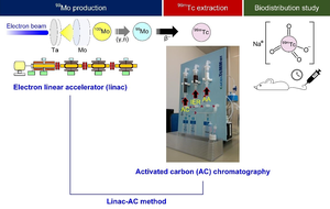 New production method promises to end global shortages of medical radioisotopes