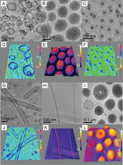 Library of Dendrimersomes